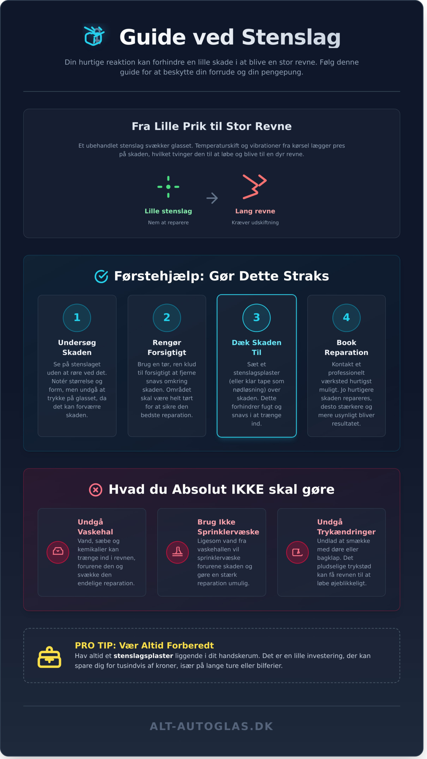 Hvad er et Stenslag? Den Komplette Guide til Skader, Typer og Løsninger - Infographic